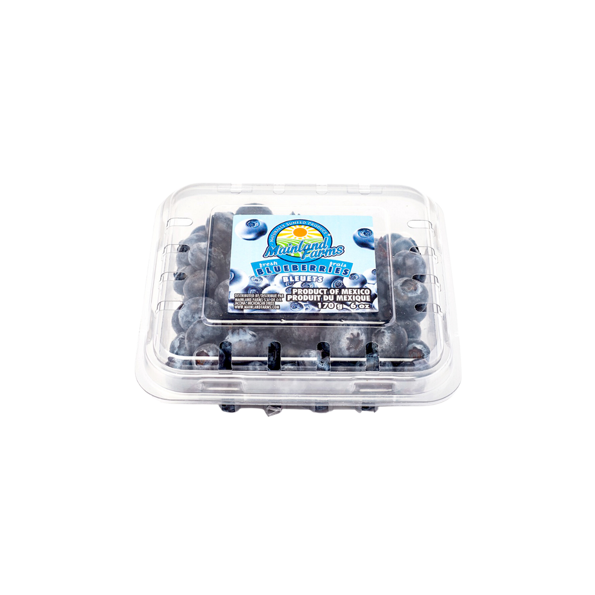 Blueberries / 170g