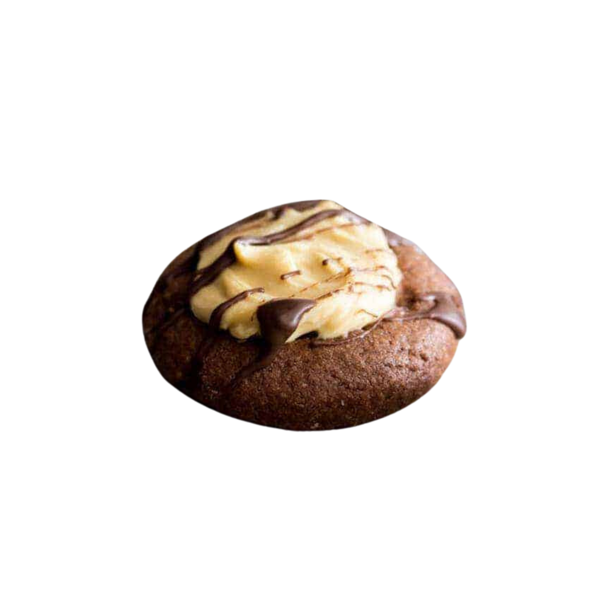 Health Biscuit