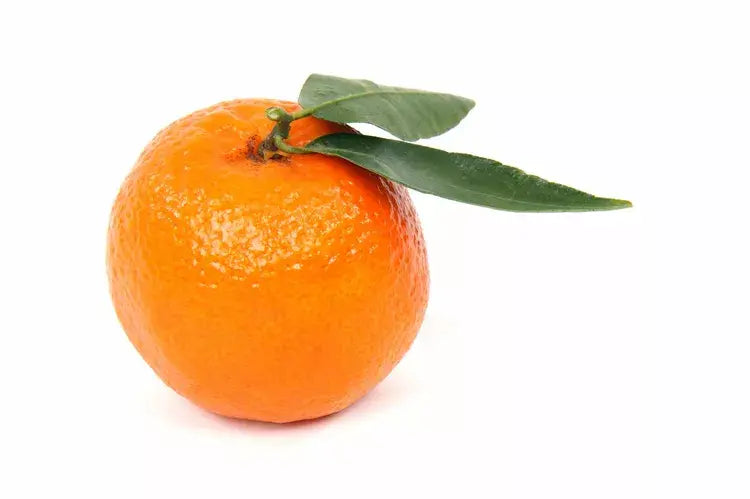 Clementine / 1ct