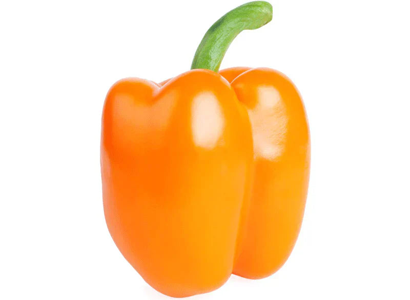 Pepper / 1ct