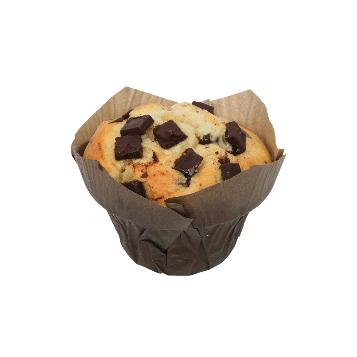 Muffin Chocolate [Oakrun]