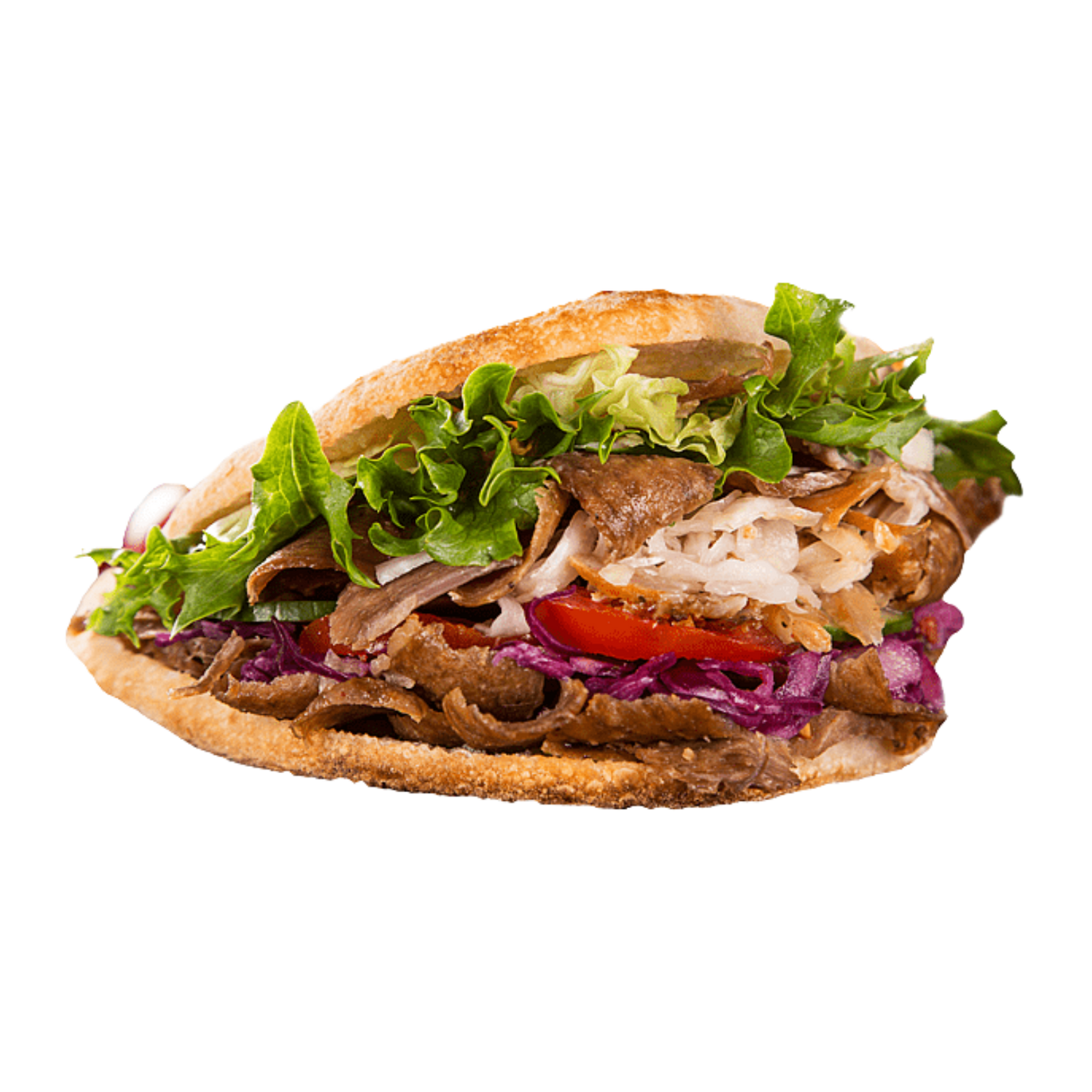 Shredded Beef Panini