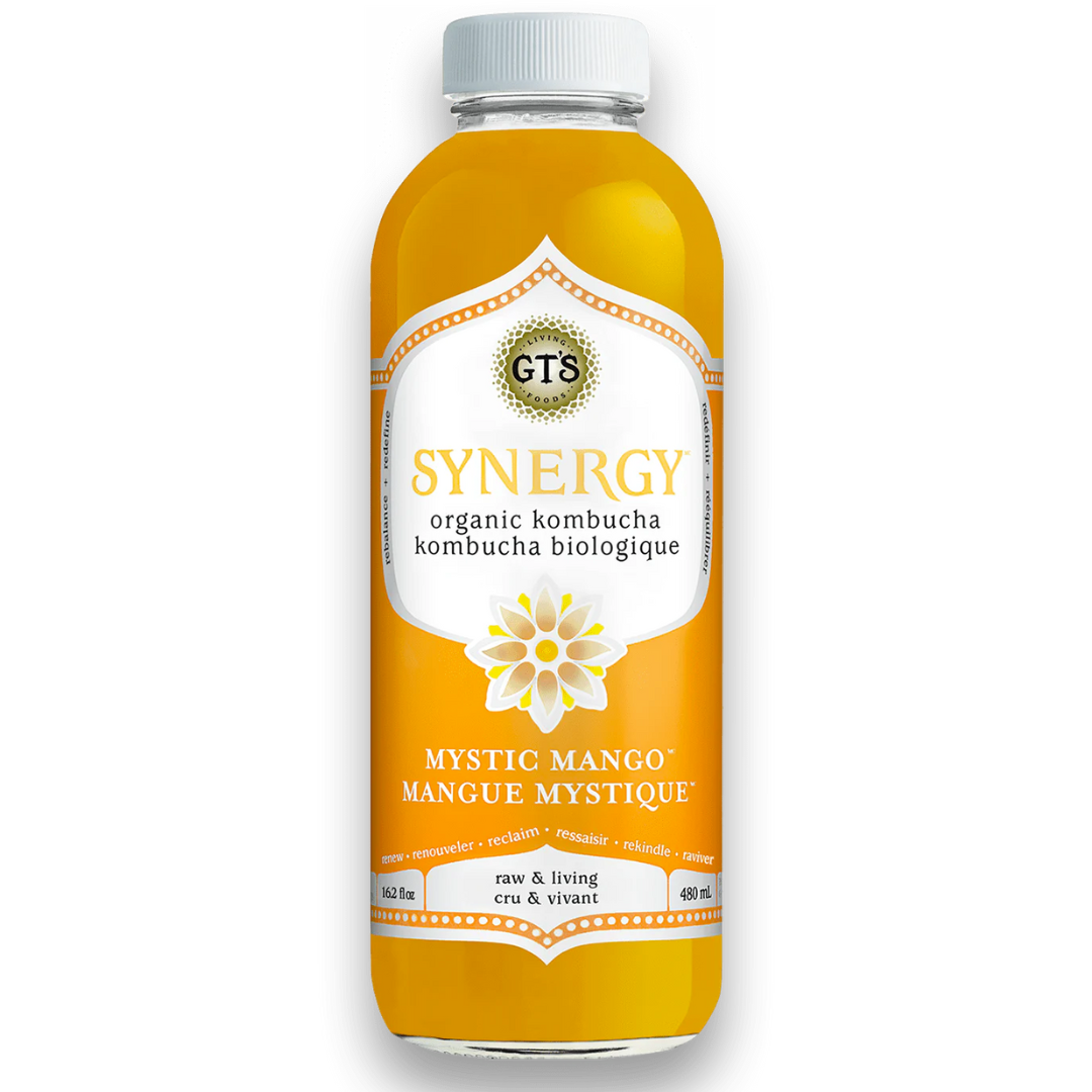 Gt's Kombucha with Mystic Mango / 480ml