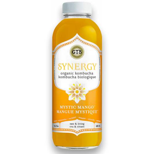 Gt's Kombucha with Mystic Mango / 480ml