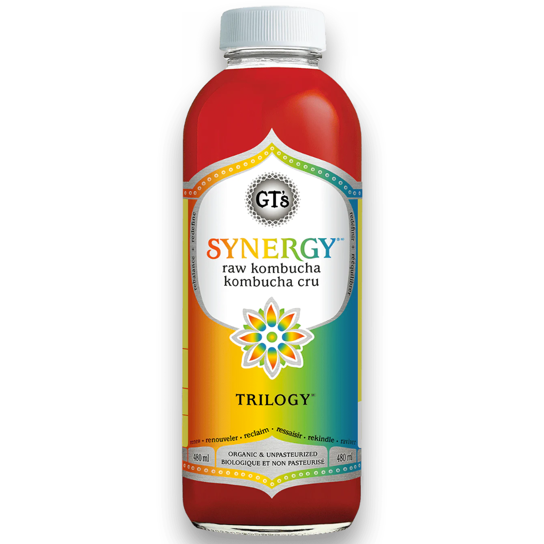Gt's Kombucha Synergy Trilogy / 480mlg