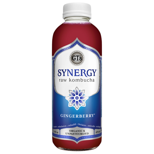 Gt's Kombucha Blueberry and Ginger / 480ml