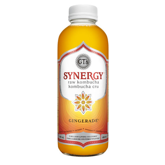 Gt's Kombucha Ginger / 480ml