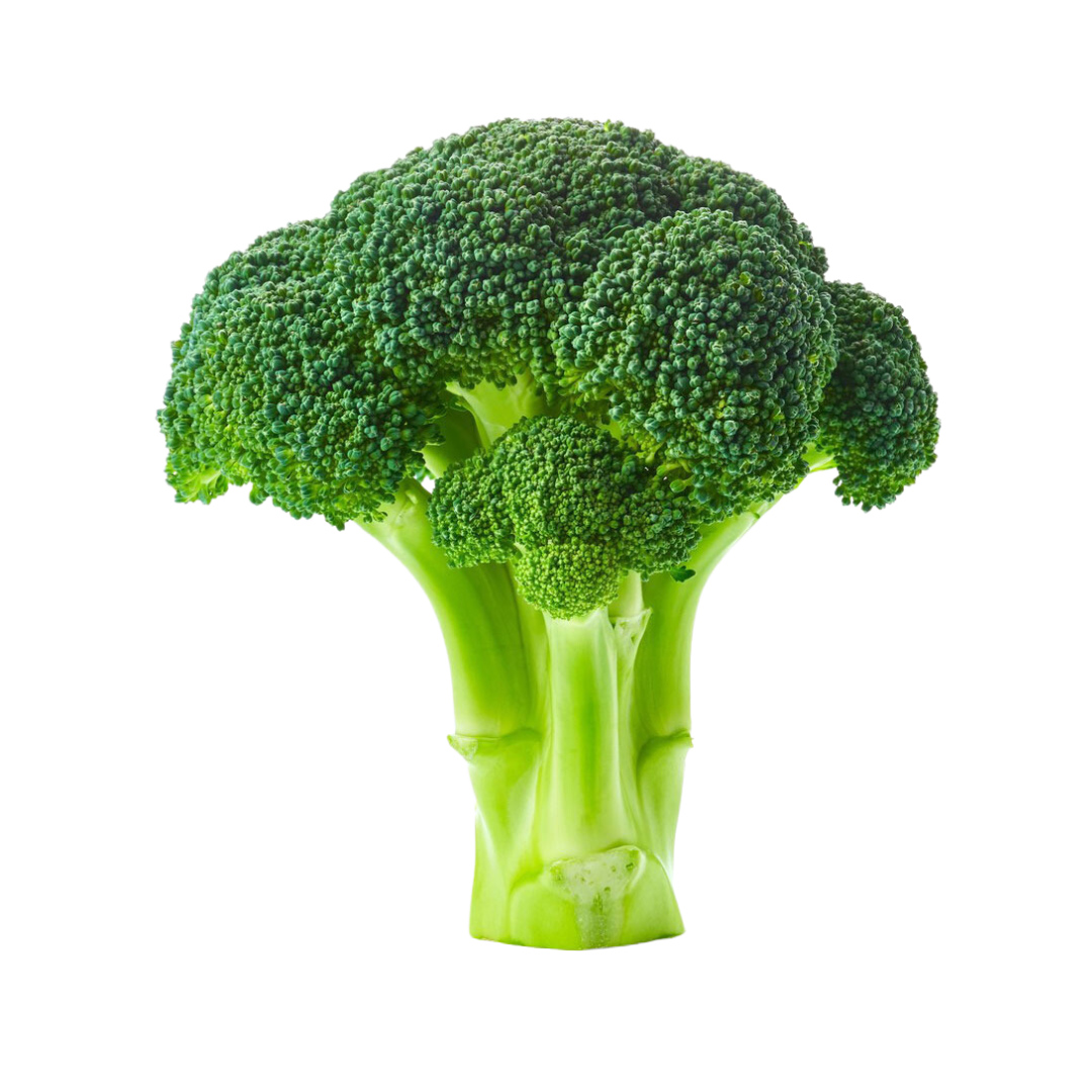 Broccoli / 1ct