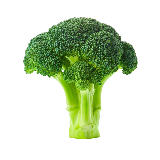 Broccoli / 1ct